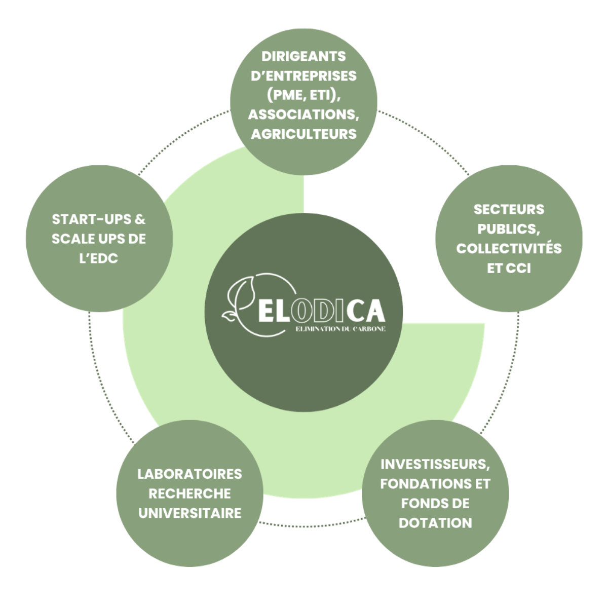 Post linkedin elodica (8)